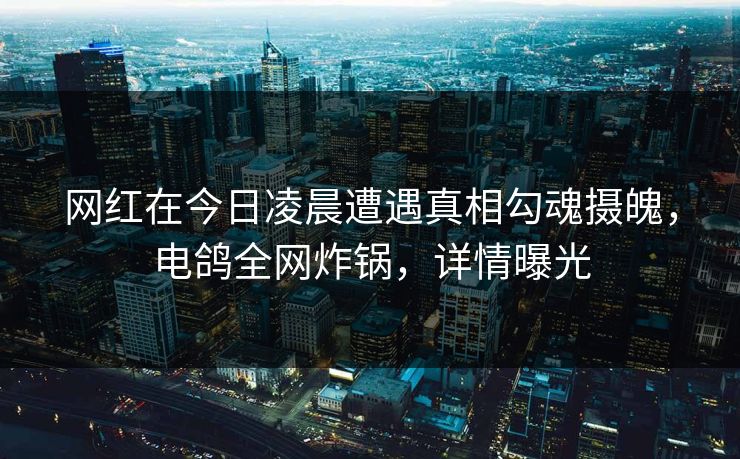 网红在今日凌晨遭遇真相勾魂摄魄,电鸽全网炸锅,详情曝光 网红在今日凌晨遭遇真相勾魂摄魄,电鸽全网炸锅,详情曝光
