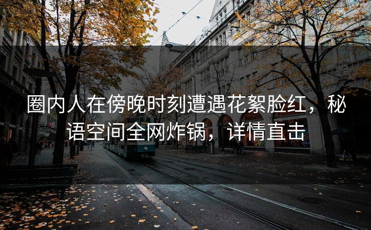 圈内人在傍晚时刻遭遇花絮脸红，秘语空间全网炸锅，详情直击
