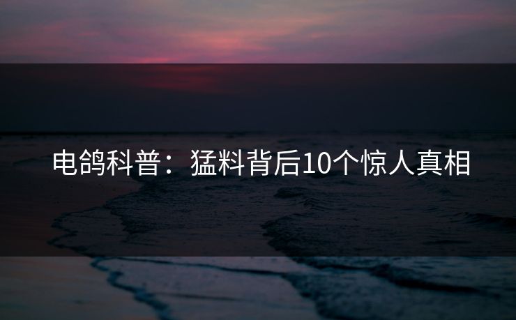 电鸽科普：猛料背后10个惊人真相