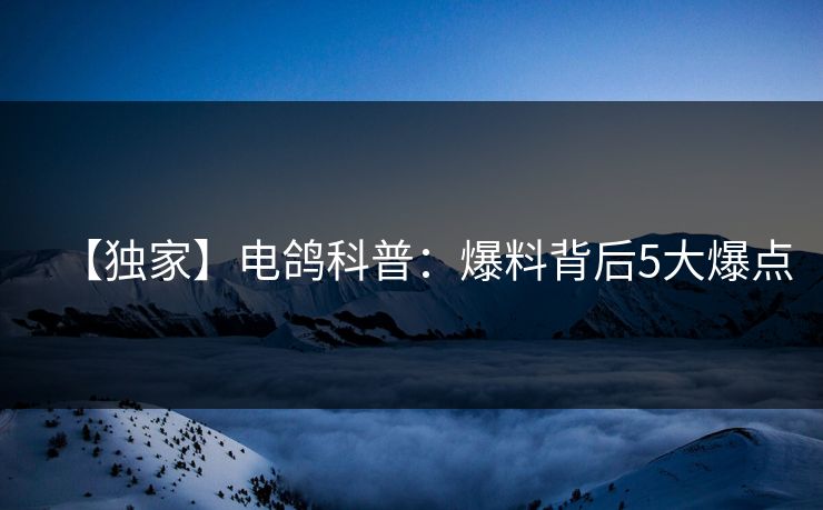 【独家】电鸽科普：爆料背后5大爆点