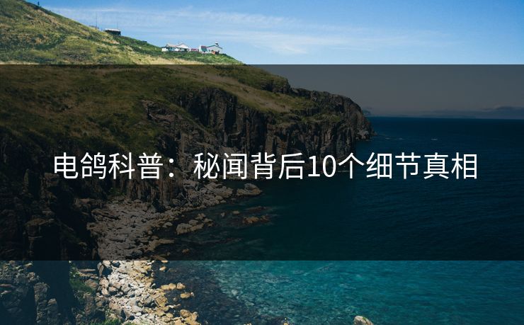 电鸽科普：秘闻背后10个细节真相
