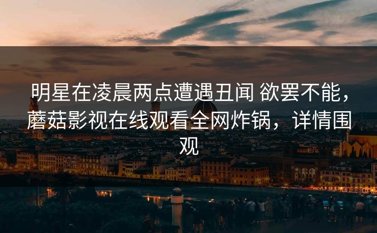 明星在凌晨两点遭遇丑闻 欲罢不能，蘑菇影视在线观看全网炸锅，详情围观