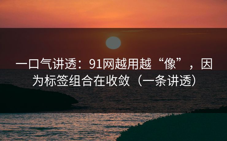 一口气讲透：91网越用越“像”，因为标签组合在收敛（一条讲透）