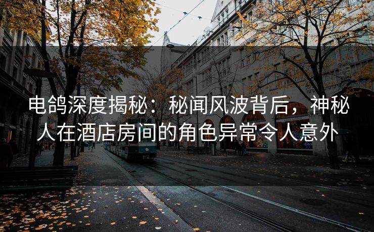 电鸽深度揭秘：秘闻风波背后，神秘人在酒店房间的角色异常令人意外