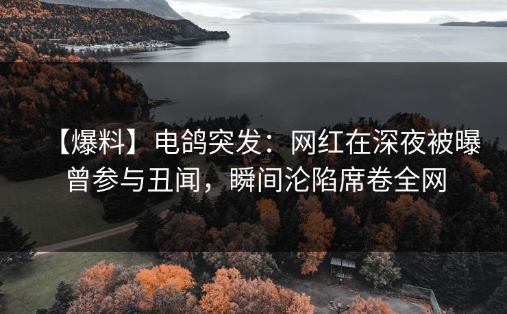 【爆料】电鸽突发:网红在深夜被曝曾参与丑闻,瞬间沦陷席卷全网 【爆料】电鸽突发:网红在深夜被曝曾参与丑闻,瞬间沦陷席卷全网