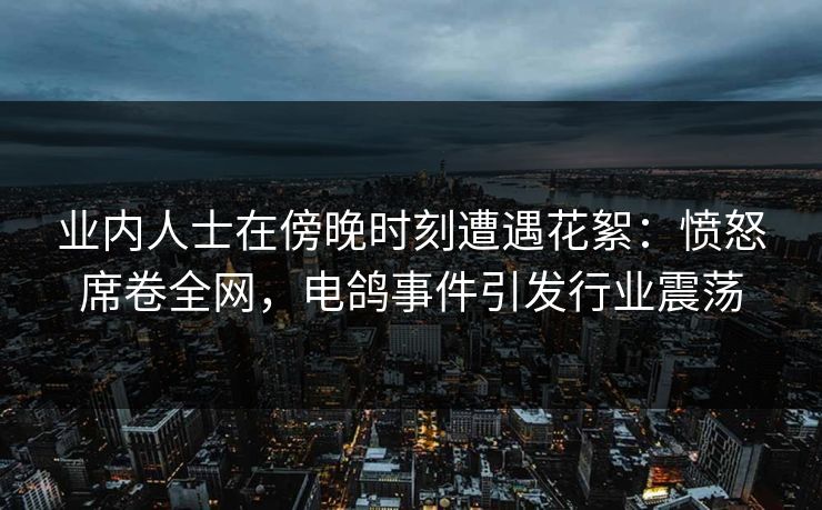 业内人士在傍晚时刻遭遇花絮:愤怒席卷全网,电鸽事件引发行业震荡 业内人士在傍晚时刻遭遇花絮:愤怒席卷全网,电鸽事件引发行业震荡