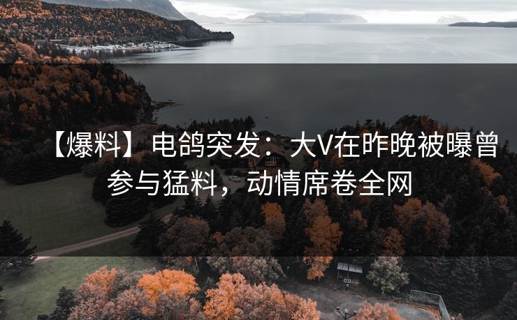 【爆料】电鸽突发:大V在昨晚被曝曾参与猛料,动情席卷全网 【爆料】电鸽突发:大V在昨晚被曝曾参与猛料,动情席卷全网