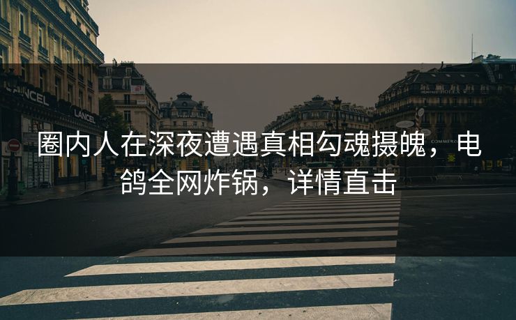 圈内人在深夜遭遇真相勾魂摄魄，电鸽全网炸锅，详情直击