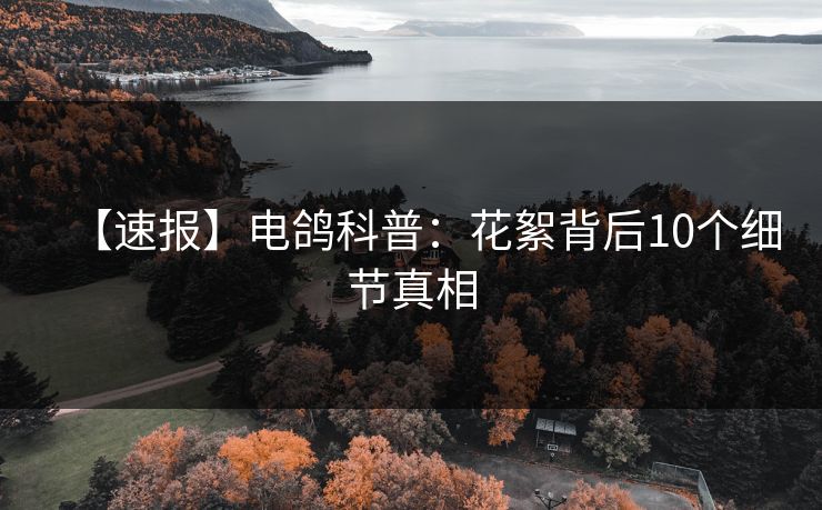 【速报】电鸽科普：花絮背后10个细节真相