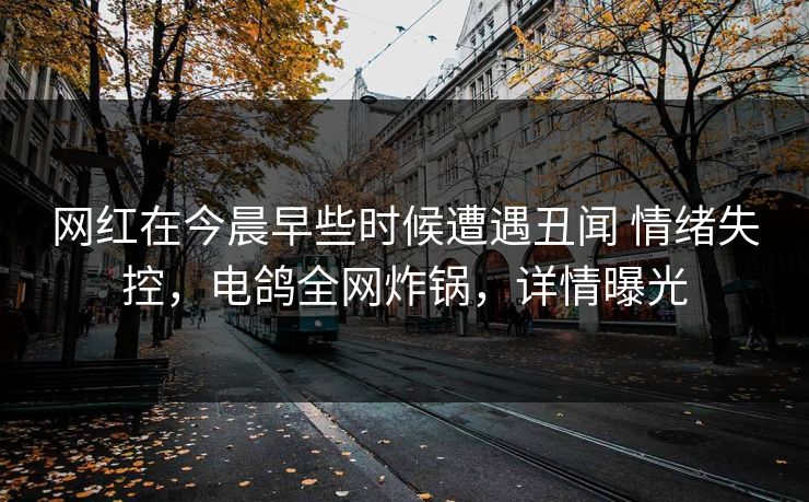 网红在今晨早些时候遭遇丑闻 情绪失控,电鸽全网炸锅,详情曝光