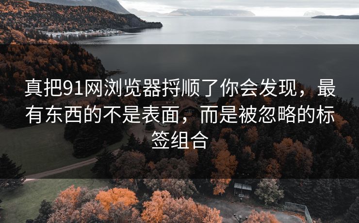 真把91网浏览器捋顺了你会发现,最有东西的不是表面,而是被忽略的标签组合